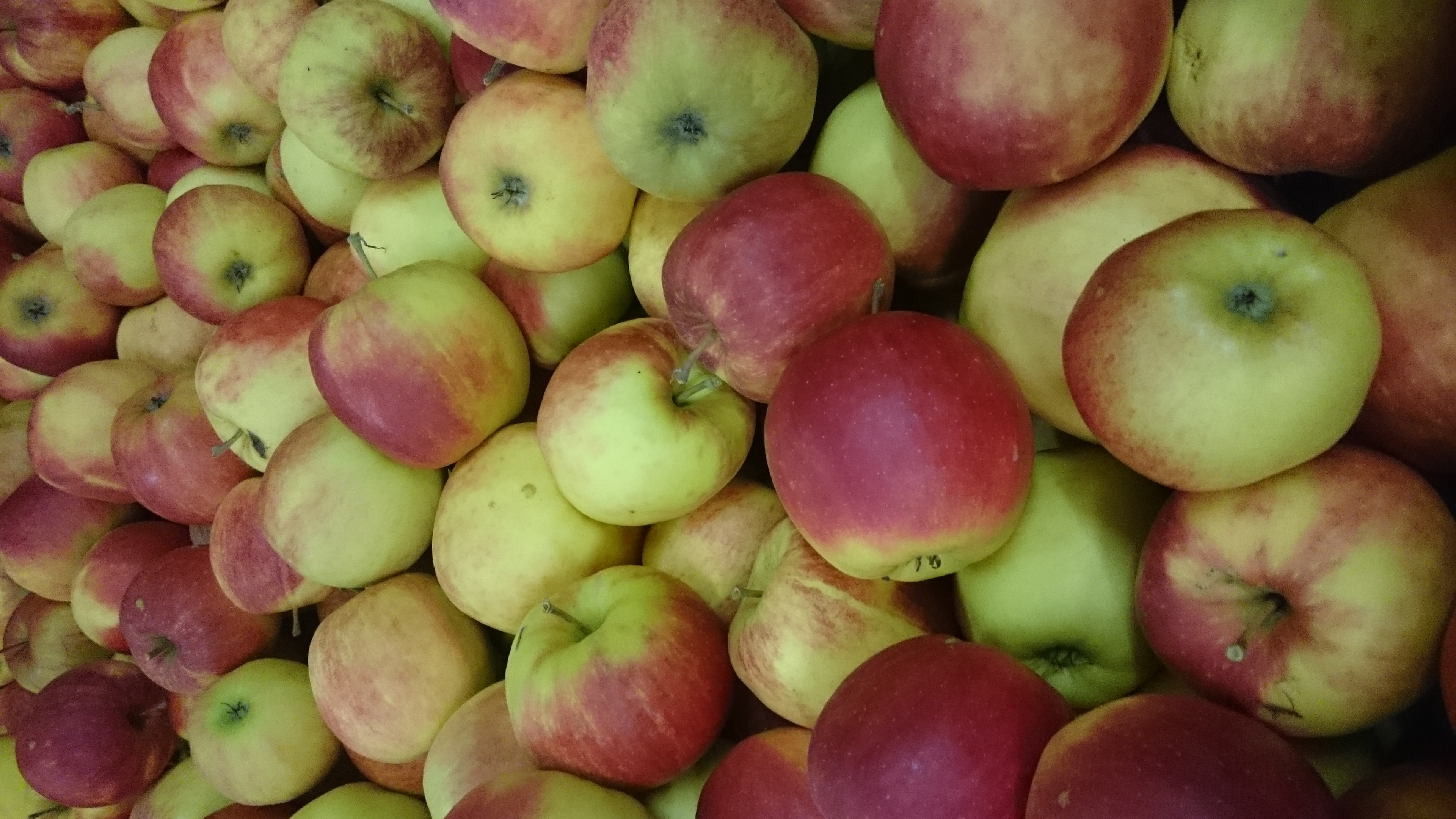 Nahaufnahme frischer Äpfel